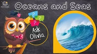 Ask Series | What are Oceans and Seas?
