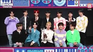 TREASURE FIRST WIN ON SHOW CHAMPION😭