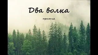 Два волка. Притча.