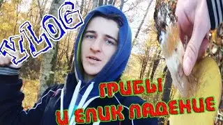 VLOG: Лесной. Грибы. Упал с дерева в болото