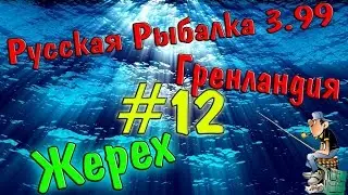 Русская рыбалка 3.99 || (#12) || Ловим жереха.ж