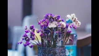 Івано-Франківськи і багато кави