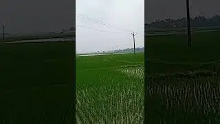 Nature photography #short