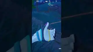 Fortnite gamers