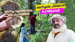 റാണിയെ  പിടിക്കാൻ പോയപ്പോൾ | HONEY FARMING KERALA #kerala #honeyfarming