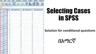 How to select cases in SPSS (Amharic tutorial)