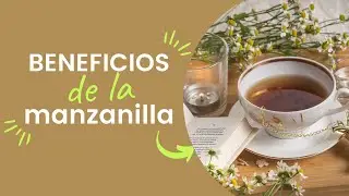 Descubre los increíbles beneficios de la manzanilla para tu bienestar