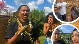 Snake Prank On My Girlfriend (scary)