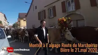 Montée à l'alpage Route du Marchairuz, Bière le 21 mai 2020