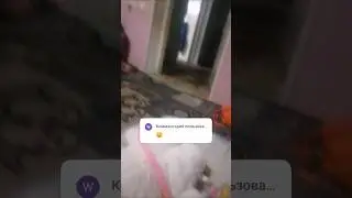 8 сентября 2024 г.
