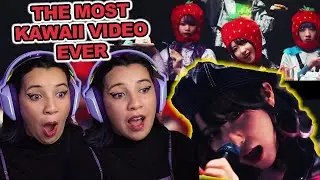 【花冷え。】-我甘党- (WE LOVE SWEETS)【HANABIE.】(REACTION)