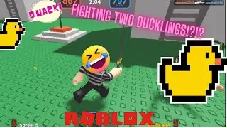 The Underground War 2.0 / Fighting the ducklings / Roblox
