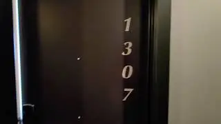 Bush Temple Tower - Apartment #1307