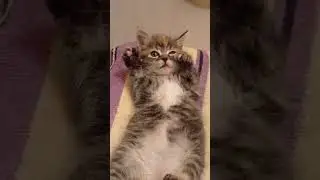 Дети они такие!