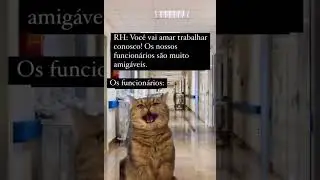 Vc vai amar esse trabalho #memes #gatos #trabalho
