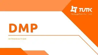 DMP (Data/Device Management Platform)