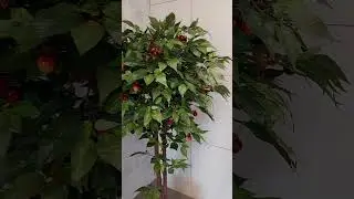 Искусственные цветы и деревья в Екатеринбурге