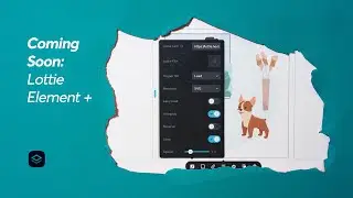 Coming Soon: New Additions to Lottie Animation