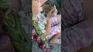 8 липня 2024 р.