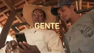 Software Berrante - Gestão e Controle na Pecuária de Corte #pecuariamoderna #softwareberrante