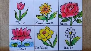 6 Different types of Flowers drawing easy| Flower chart making|How to draw different types of flower