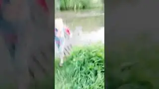 Мой друг стал непонятным существом