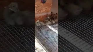 Даже вечером жара +45