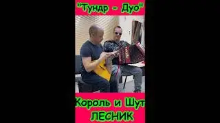 Король и Шут Лесник Русский рок КиШ Михаил Горшенёв Тундр-Дуо Accordion Фольклор Гармонист Балалайка