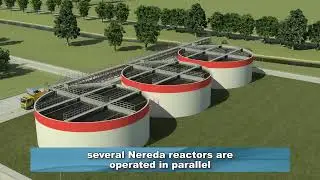 Intro Nereda Technology
