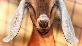 Лучшая  музыка 2014. Классная новинка.! Как же девушка...
