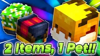 This Update Will CRASH G-Drag Prices!! | Hypixel SkyBlock Pet Swap Alpha