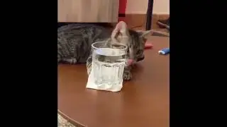 На, пей!