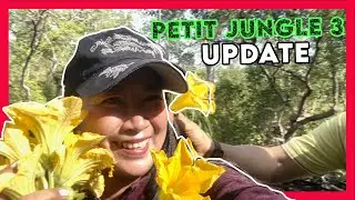 Update sa Petite Jungle 3 | Daming harvest! Thank God!