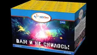 Вам и не снилось! PLI0870