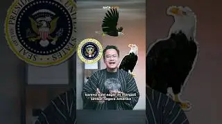 Kita selama ini dibohongi Hollywood, ternyata suara elang itu seperti ini!