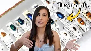¿Qué es y para qué nos sirve la taxonomía? - Reinos de la naturaleza