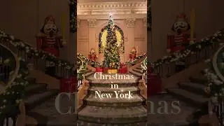 Christmas vibes 🎅🏼 in #NewYork | Christmas trees 🎄 | Christmas lights ✨