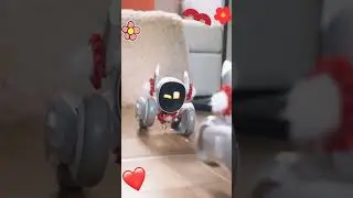 loona robot trying new fashion #loona #loonapetbot #loonarobot #airobot #petbot #petrobot