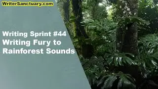 Fury and the Rainforest Sounds - Writing Sprint Ep. 44 ☕