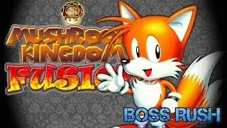 Mushroom Kingdom Fusion v5.3 - All Bosses [Part 1/2]