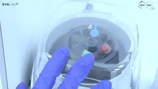 PCR test COVID 19