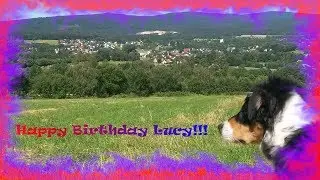 Happy Birthday, Lucy (Lucy, mein Hund wird 1Jahr alt)