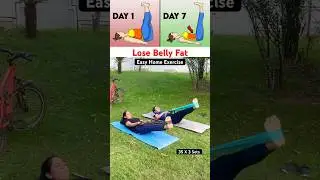 Exercise for Belly Fat / Easy Home Workout / #yogaguruktr #youtubeshorts #shorts #ytshorts #yt