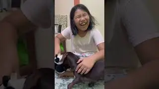 Do you think it's effective? 😂 #doglessons