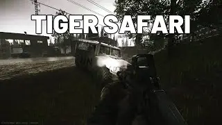 Tiger Safari Quest Guide - Customs - Escape from Tarkov #escapefromtarkov #tarkov