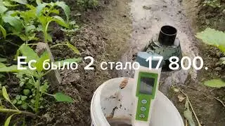 Измерение Ph и Ес почвы. Засоленность почвы.