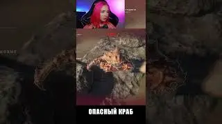 САМЫЙ ОПАСНЫЙ КРАБ в Stranded Deep ► 