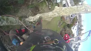Branch rigging with a little swing