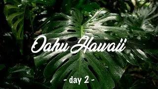 Hawaje: Oahu  - Wyspy Pacyfiku odc. 2