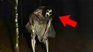 POZOR! DĚSIVÁ VIDEA, KTERÁ NESLEDUJTE O SAMOTĚ!